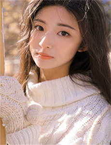 大唐女将樊梨花电视剧