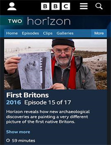 马场风暴马场风暴