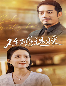 极黑的布伦希尔特