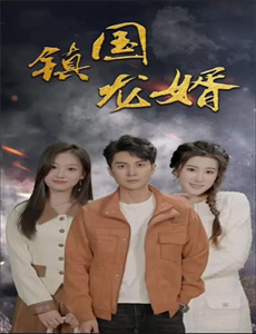 满清十三皇朝之血染紫禁城