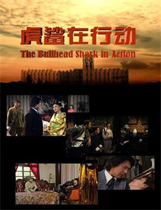 新小鬼当家解说