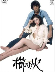 换乘恋爱日本版